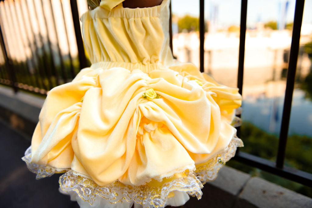 Yellow Rose Princess