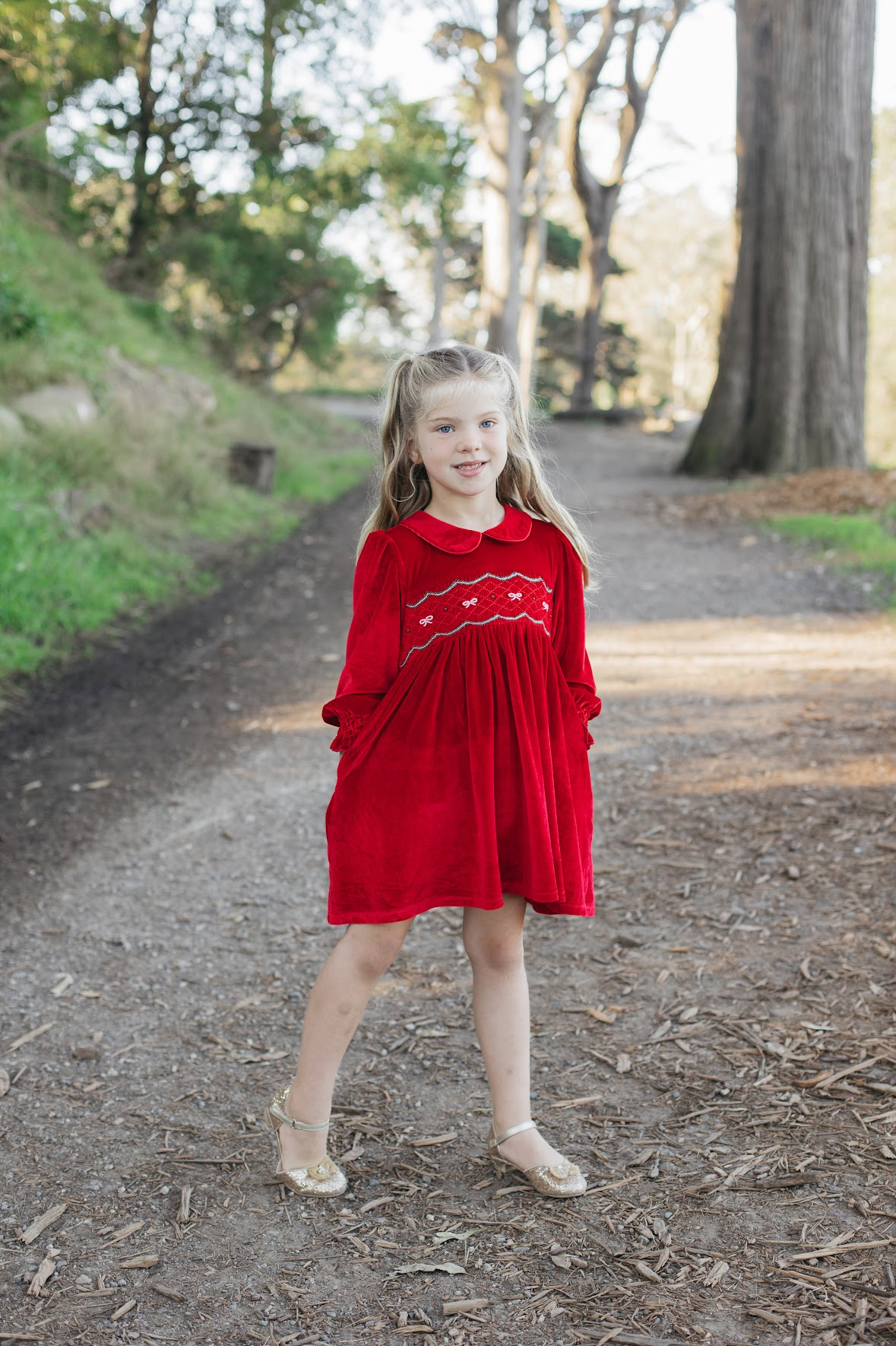 Velvet Smocked Dress