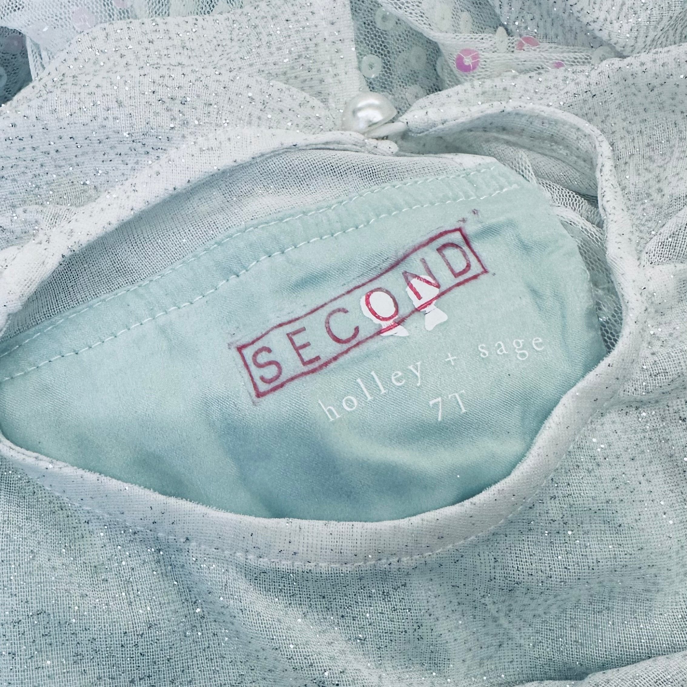 Imperfect/Seconds Frosted Ice Princess Dress