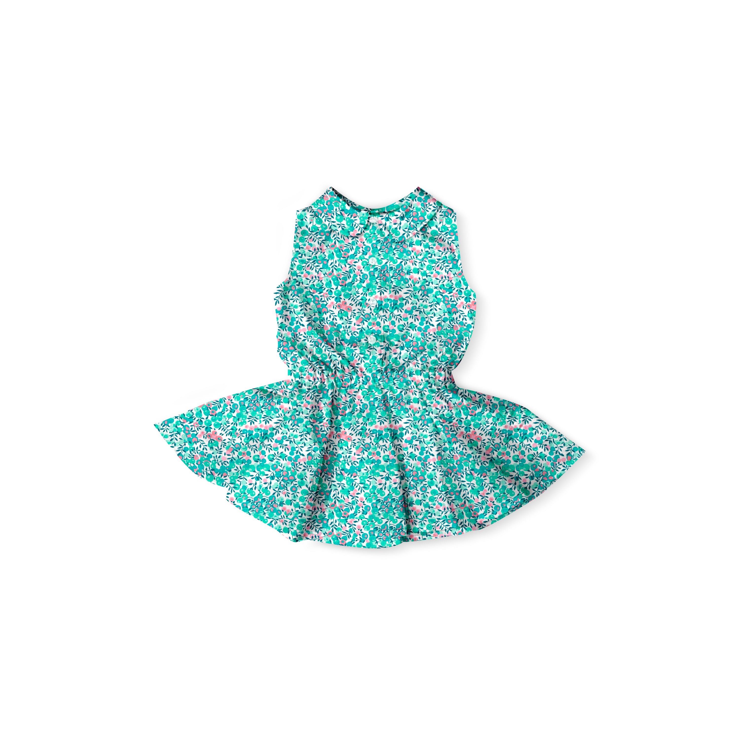 Aqua Wiltshire - Button Front Twirl Dress