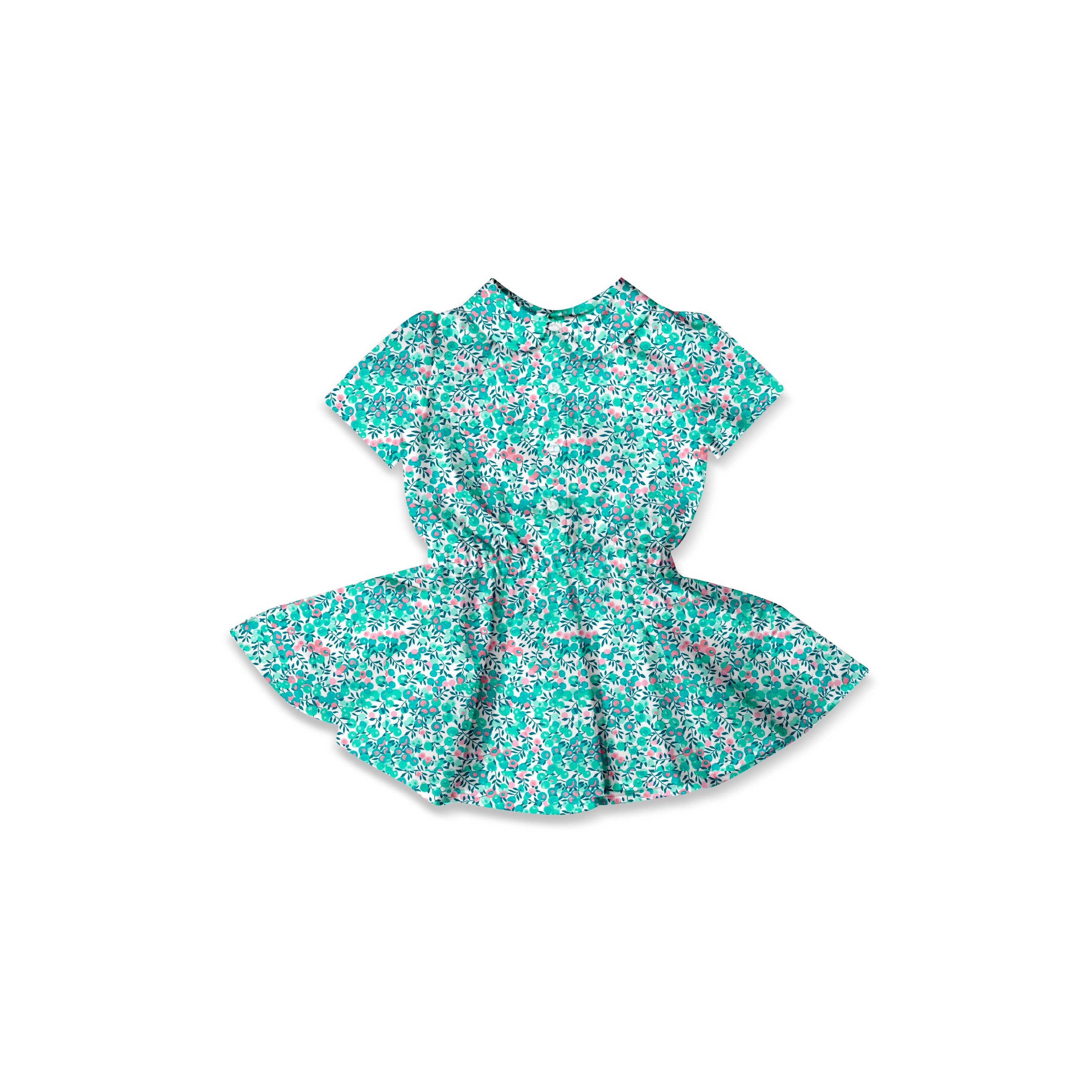Aqua Wiltshire - Button Front Twirl Dress