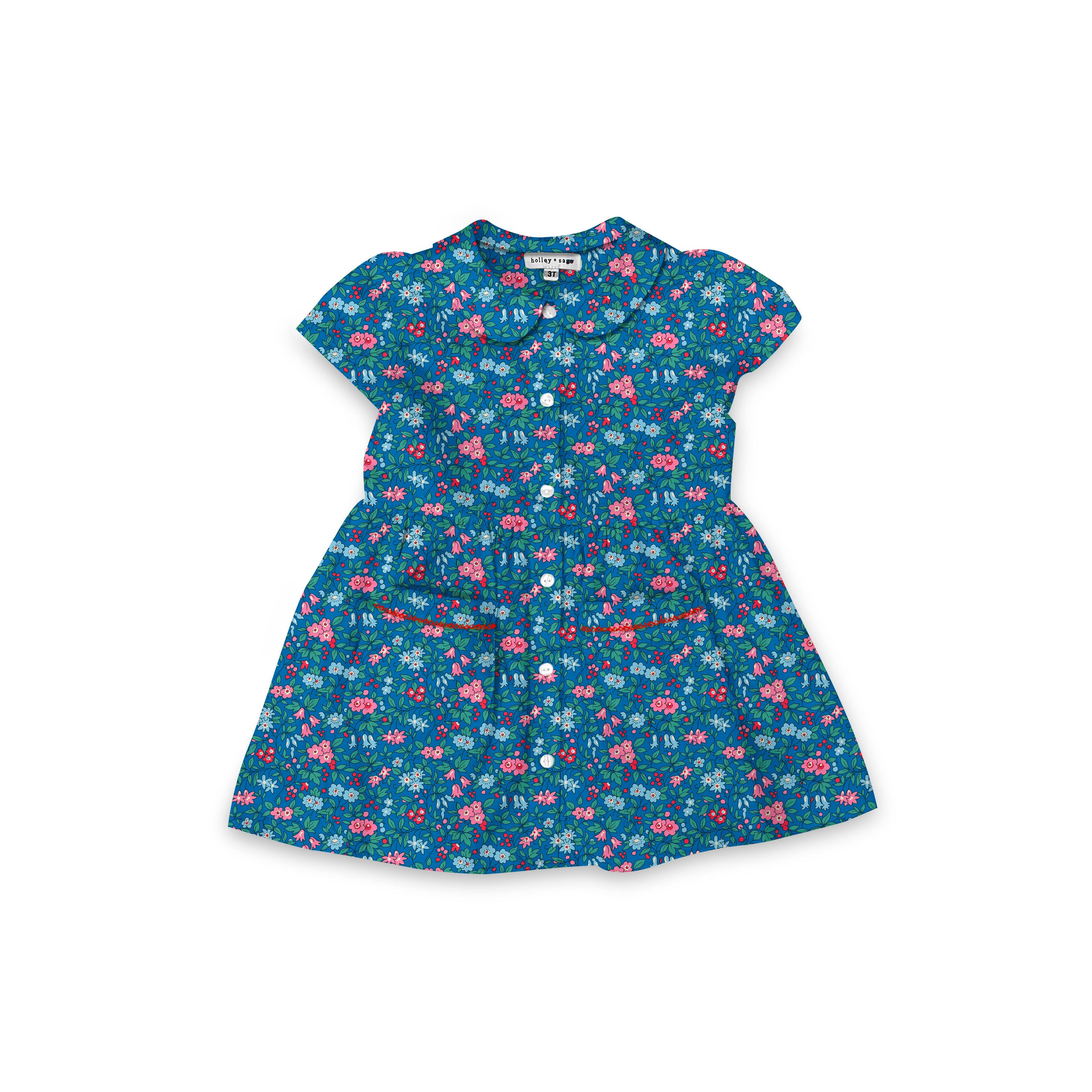 Trailing Blossom - Smock Collared Dress